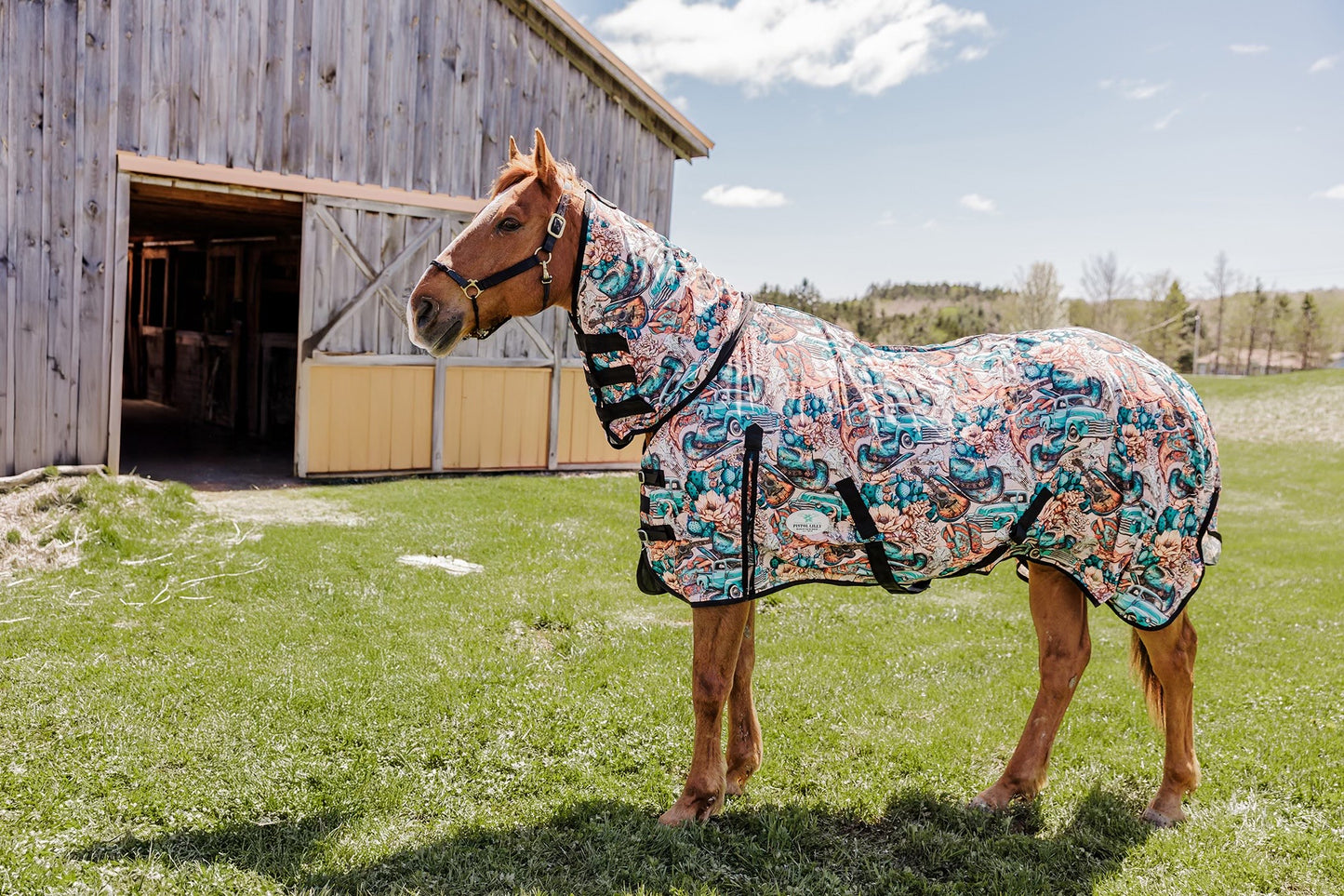 PLR FLY SHEET