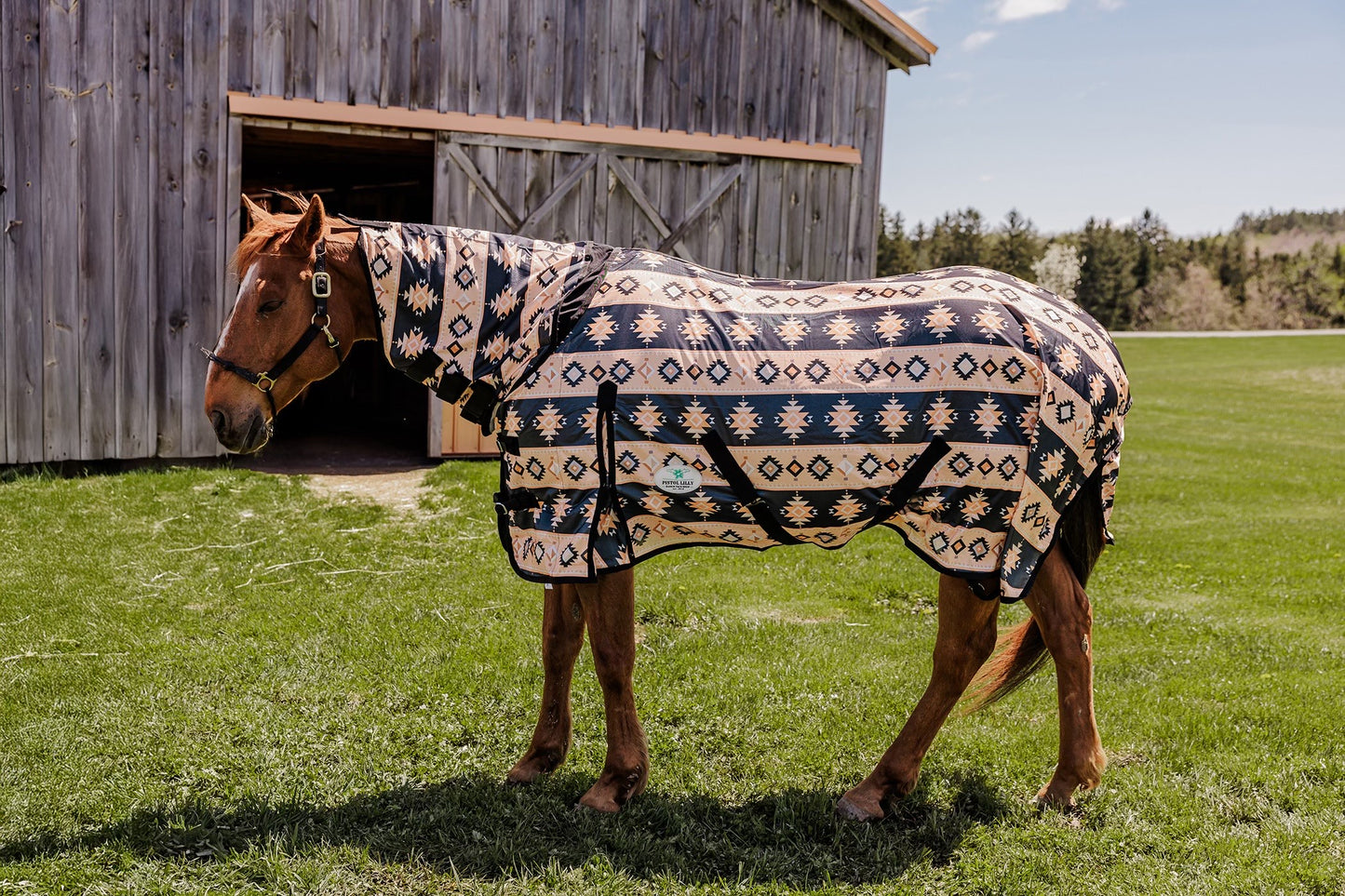 PLR FLY SHEET