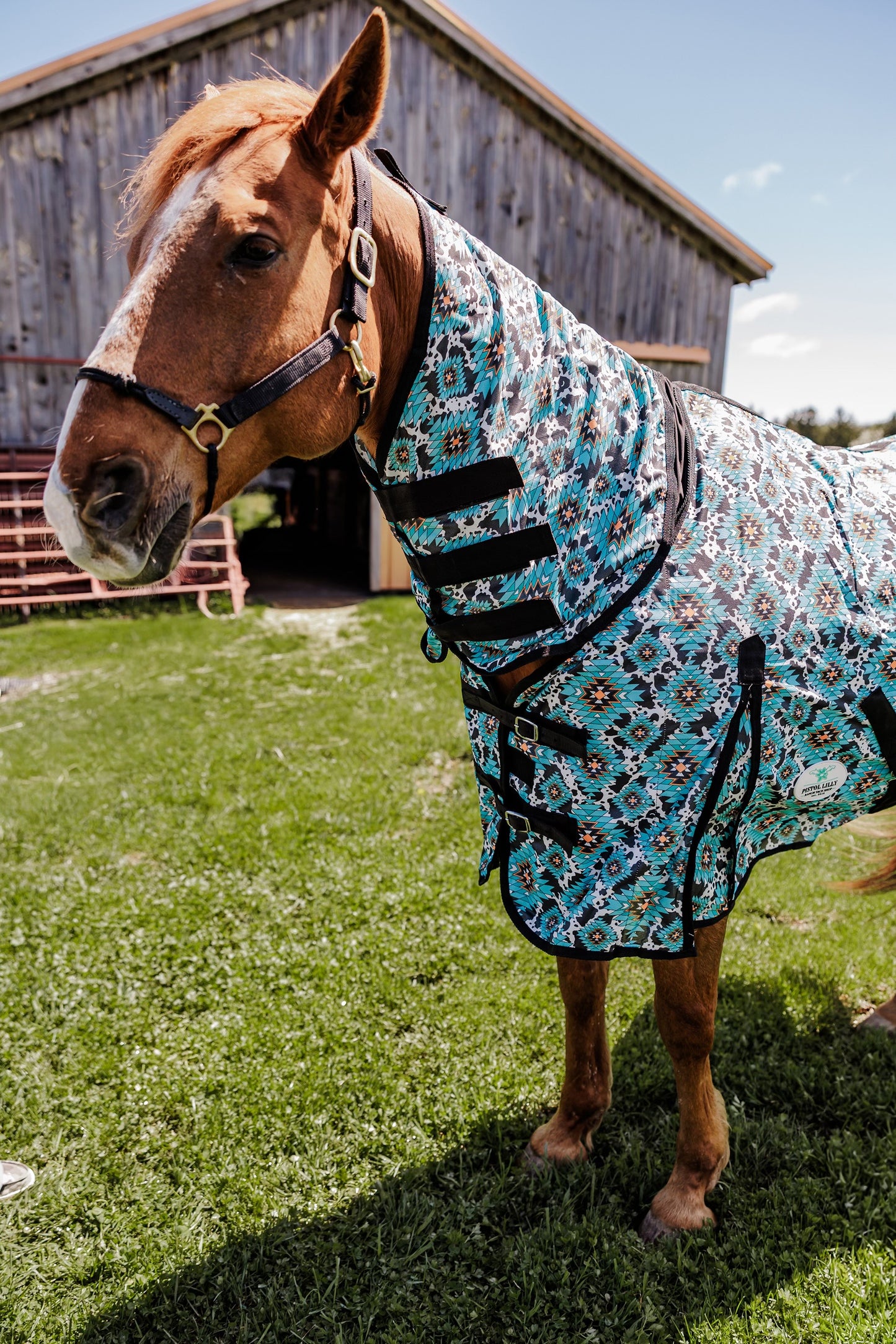PLR FLY SHEET