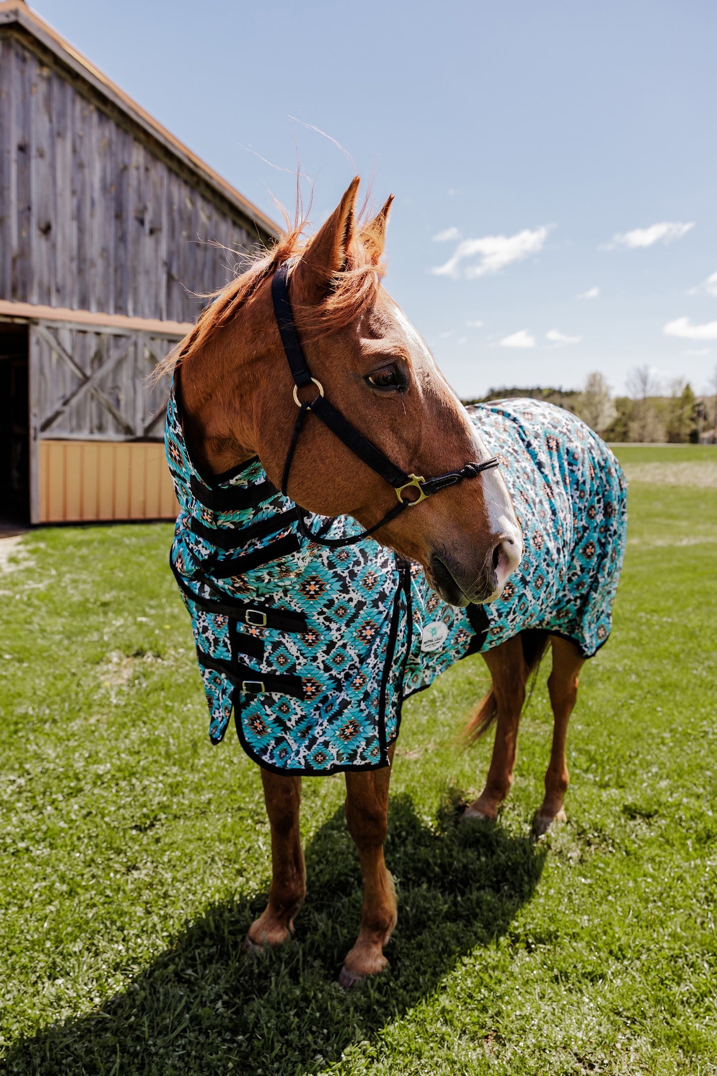 PLR FLY SHEET