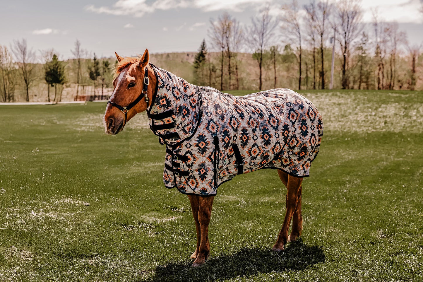 PLR FLY SHEET