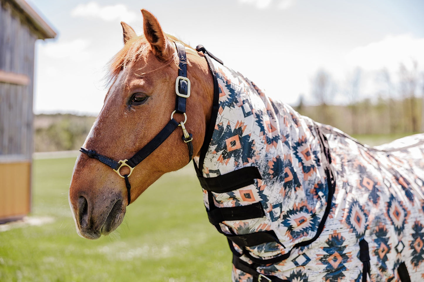 PLR FLY SHEET